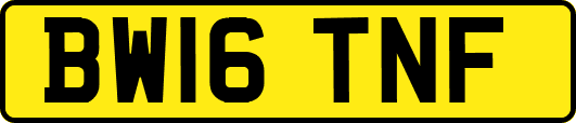 BW16TNF