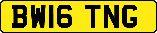 BW16TNG