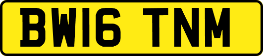 BW16TNM