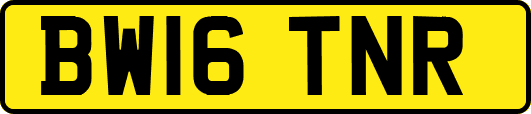 BW16TNR