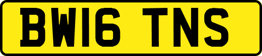 BW16TNS