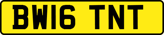 BW16TNT