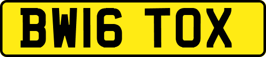 BW16TOX