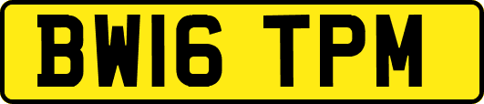 BW16TPM