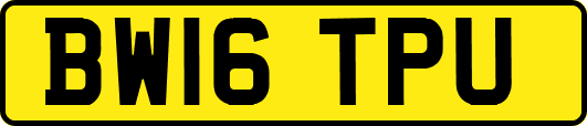 BW16TPU