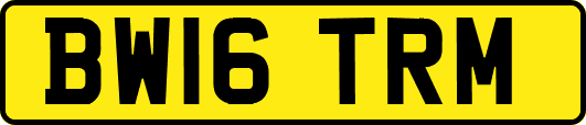 BW16TRM