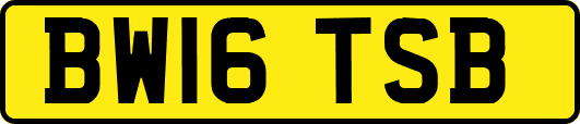BW16TSB
