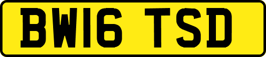 BW16TSD
