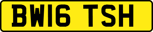 BW16TSH