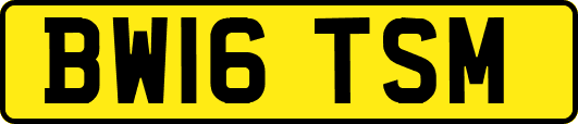 BW16TSM
