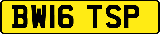 BW16TSP