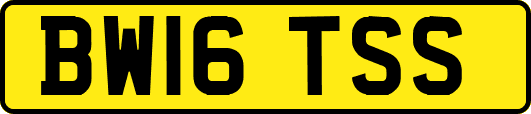 BW16TSS