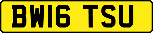 BW16TSU