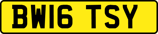 BW16TSY