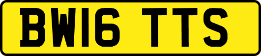 BW16TTS