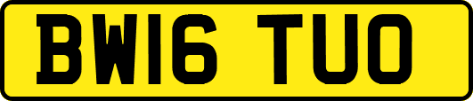 BW16TUO