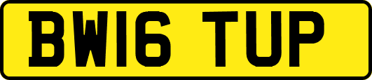 BW16TUP