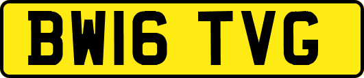 BW16TVG