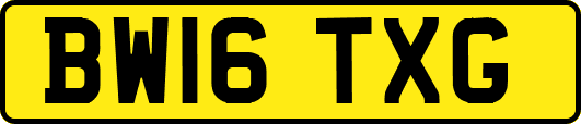 BW16TXG