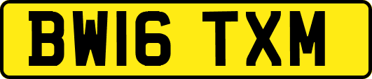 BW16TXM