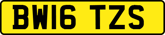 BW16TZS