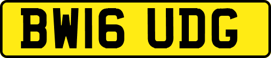 BW16UDG