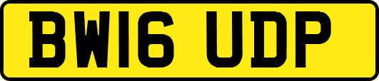 BW16UDP