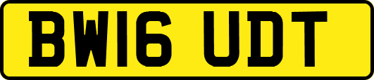 BW16UDT