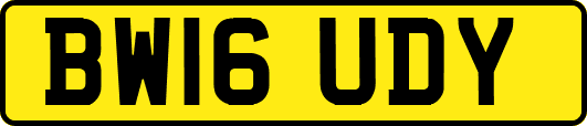 BW16UDY
