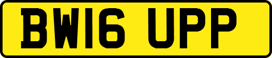 BW16UPP