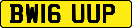 BW16UUP