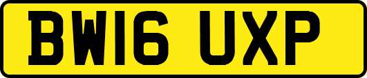 BW16UXP