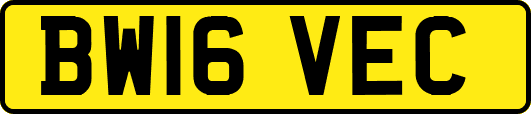 BW16VEC