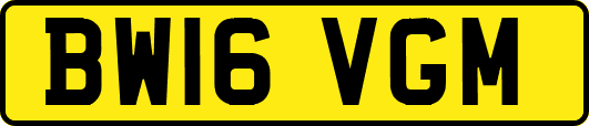 BW16VGM