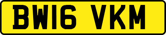 BW16VKM