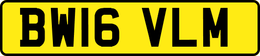 BW16VLM