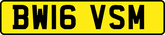 BW16VSM