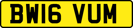 BW16VUM