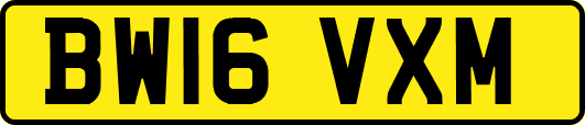 BW16VXM