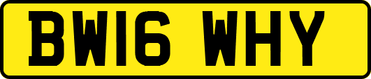BW16WHY