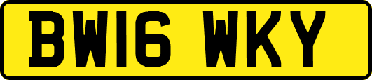 BW16WKY