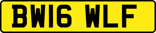 BW16WLF