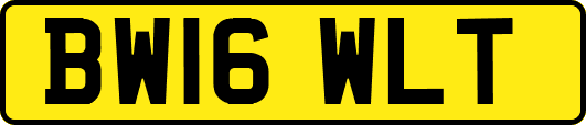 BW16WLT