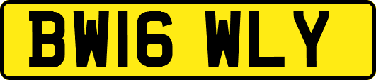 BW16WLY