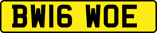 BW16WOE