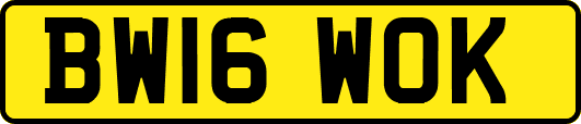 BW16WOK