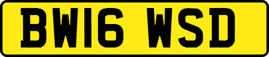 BW16WSD