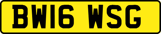 BW16WSG