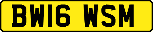 BW16WSM