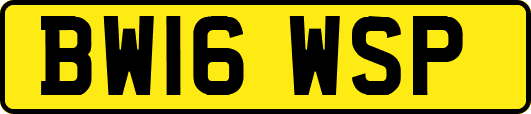 BW16WSP